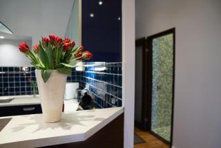 Rataskaevu 6 Apartment - 5