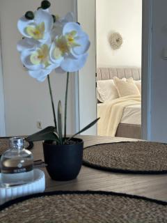 3 Bedroom Apartment with Seaview - 3min from the beach - Kruševo - 8