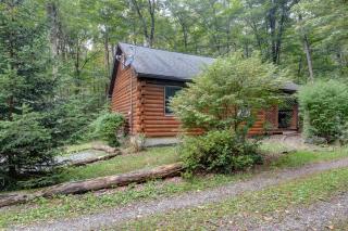 Cozy Cabin with Fire Pit and Hot Tub in Bruceton Mills, West Virginia - - 0