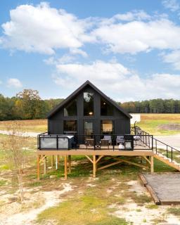 Cozy Modern Cabin with Deck and Hot Tub in Cedar Bluff, Alabama - Gaylesville - 5