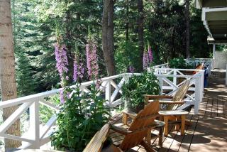 Fantastic King Room with Balcony in Fish Camp, California - Fish Camp - 2