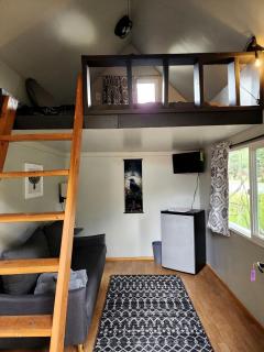 Gorgeous Secluded Cabin Nestled in the Middle of the Forest in Seward, Alaska - Seward - 0