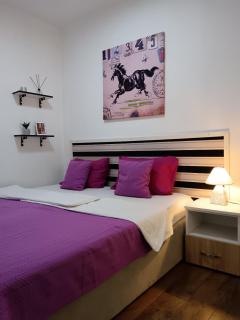 APARTMENTs 27 V - Novi Sad - 0