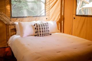 Fantastic Safari Tent in Erwin, Tennessee - Erwin - 8