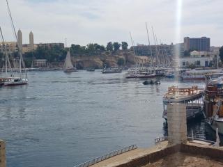 Nile Moon - 9