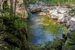 Cozy Yurt in the Peaceful Woods in Chatham, NH - 1