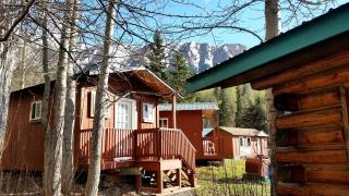 Gwin's Lodge Pine Fisherman's Cabin - Cooper Landing - 4