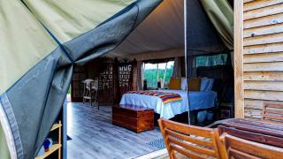 Safari Style Glamping Experience in the Heart of Texas Hill Country, Perfect for Animal Lovers - Kempner - 7