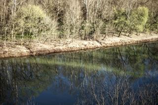 Fully Furnished Cabin Rental with Fire Pit near Cherokee National Forest - Greeneville - 5