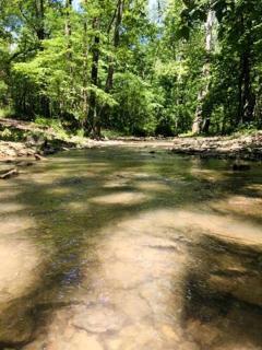 Beautiful Bell Tent Rental near Kansas City for Glamping in Missouri - Excelsior Springs - 9