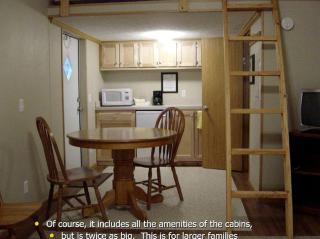 Comfy Vacation Rental with Wi-Fi and Kitchenette in Meadview, Arizona - Meadview - 9