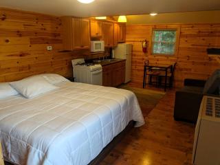 Idyllic Cabin Rental near the Au Sable River in Michigan - Five Corners - 0