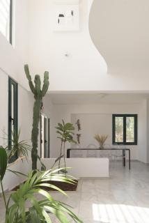 OLIVETUM holiday villa - Panormos Rethymno - 5