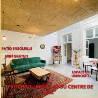 Oasis Urbaine - Spacieux et calme avec patio - Lille - 0