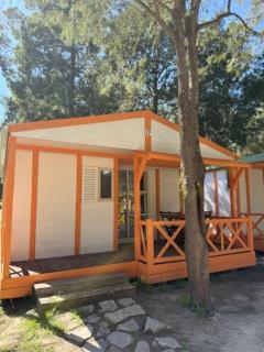 Camping Paloma - Tarifa - 8
