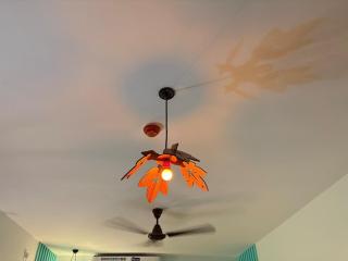 Sonyas Hillside Retreat Magic - Pune - 4