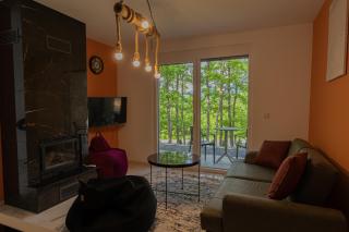 Zen Villas - Novoberdo - 4