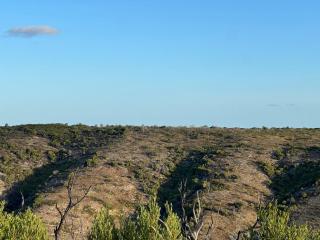 Stilbaai Rivierplaas -- Gate House - Riethuiskraal - 5