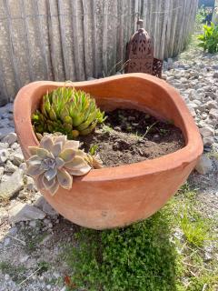 Le Mazet Chambre d'Hôtes - Mauguio - 6