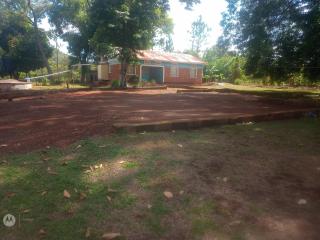 Andy's home stay - Masindi - 9