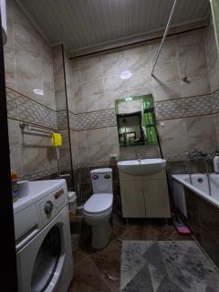 Двухкомнатная Панфилова124 - 5