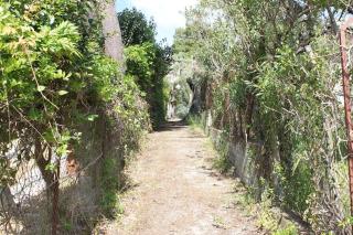 Lefkada Summer House near the beach - Nikiana - 6