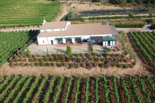 BODEGAS MOROSANTO - Apartamento Lucio - La Cimada - 2