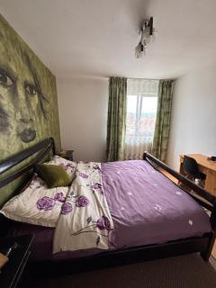 Sibiu ArtGallery Suite - Sibiu - 6
