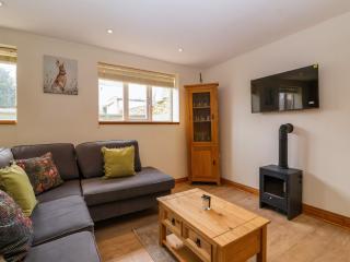 Triumph Cottage - Chipping Norton - 6