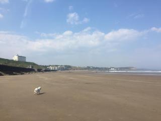 The Leeway - Scarborough - 3