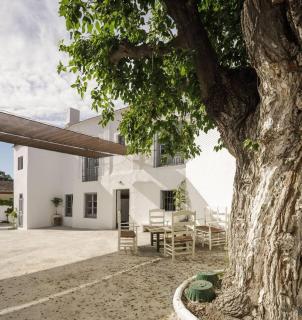 La Casa Grande de Zujaira - Zujaira - 1