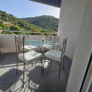 Celia - Charming 1BR with terrace near Ajaccio - Sarrola-Carcopino - 3