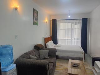 Legatus Cozy Studios - Nairobi - 7