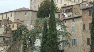 Angela's House on the ancient walls Antiche Mura - Todi - 0