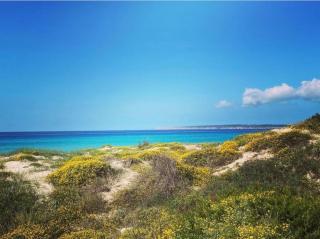 Studio Migjorn, immerso nel verde a pochi passi dal mare - Es Caló - 9