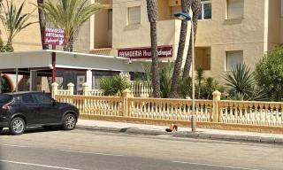 LMHA31 Seychelles, 1 Bedroom Apartment, La Manga - La Manga del Mar Menor - 2