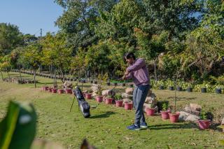 SaffronStays Timber Quest - Dehradun - 8