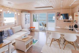 Hausboot Walfisch mit Dachterrasse in Schleswig an der Schlei - Schleswig - 9