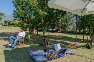 SaffronStays Timber Quest - Pinewood villa with jacuzzi rooms, decks, BBQ & forest views in Dehradun - 1