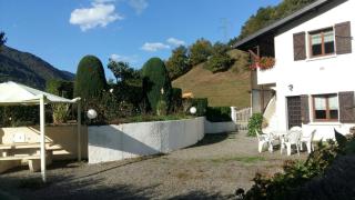 Les jonquilles - Cier-de-Luchon - 0