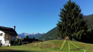 Les jonquilles - Cier-de-Luchon - 8