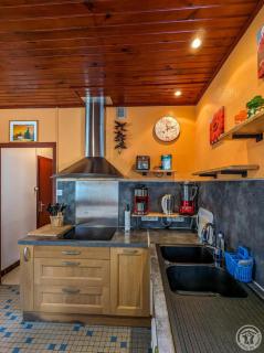 Les jonquilles - Cier-de-Luchon - 3