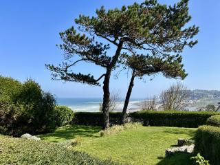 Nid des falaises - Varengeville-sur-Mer - 9