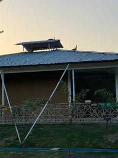 Ashvik farms - Noida - 4