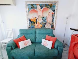 Beautiful 1 bedroom, Carihuela - Torremolinos - 4