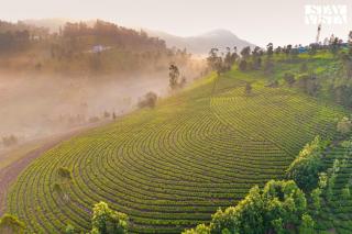 StayVista at Valley Whispers with BBQ & Bonfire - Ooty - 9