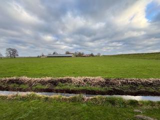 B&B bij de Roosjes - Blankenham - 5