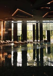 Natural Pool & SPA - 1