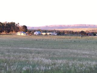 Sanctuary life guest farm - Magaliesburg - 7