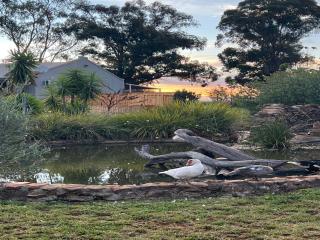 Sanctuary life guest farm - Magaliesburg - 4